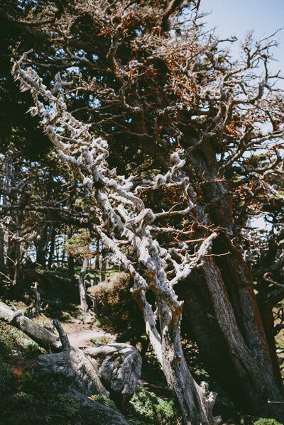 2012 05 29