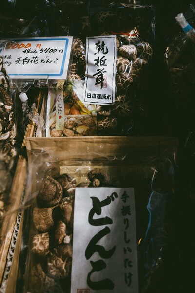 2019 04 11