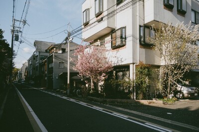 2019 04 12
