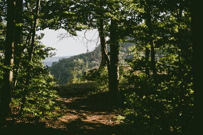 2020 08 16