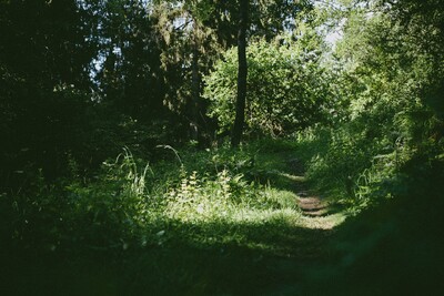 2020 08 16