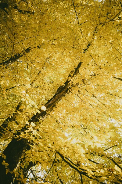 2020 10 25